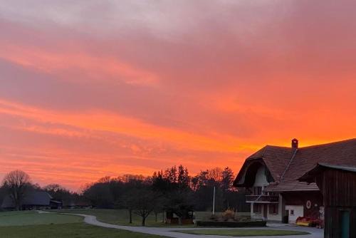 Courtepin Casa | La Ferme