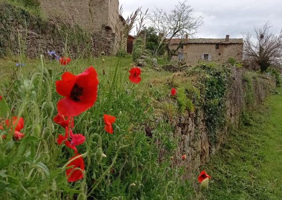 Boulieu-les-Annonay Casa | la ferme de fenivou