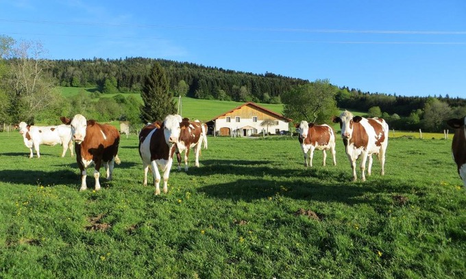 Pierrefontaine-les-Varans Cama Y Desayuno | La ferme du bonheur