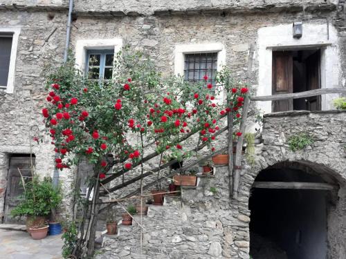 Erli Apartamento | La Garbatella