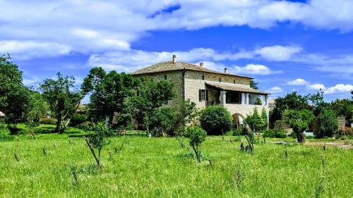Courry Casa | La Gourmandine