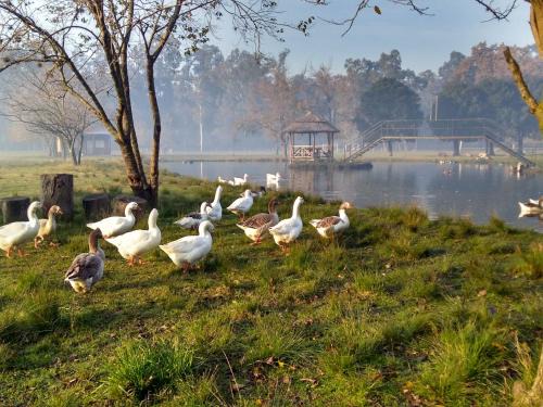 Presidente Derqui Apartamento | La Justina - Nuestro Campo