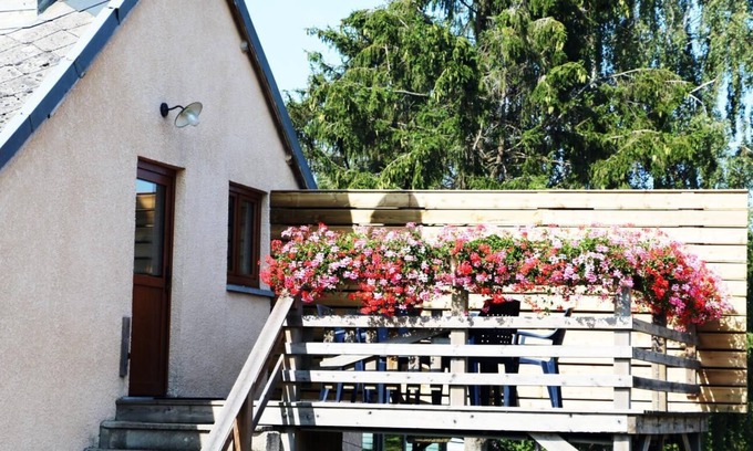 Brognon Casa | LA Mûre ET L'olivier