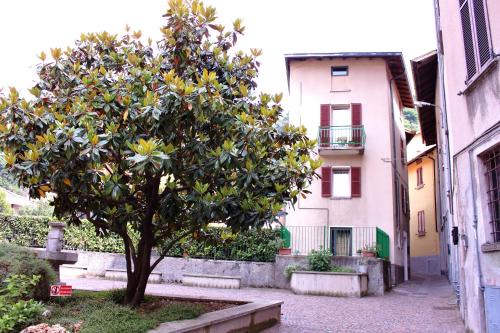 Dervio Cama Y Desayuno | LA MAGNOLIA Guests House