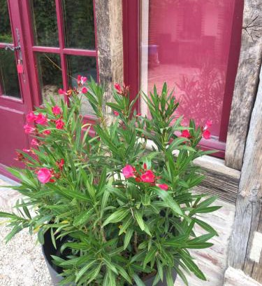 La Ferte-Beauharnais Casa | La Maison aux Volets Rouges
