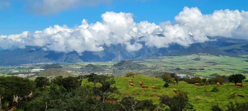 La Plaine des Cafres Casa | La Maison Couleur Volcan