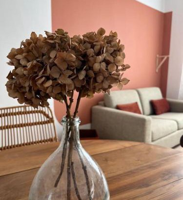Carcassonne Apartamento | La maison de Camille climatisation parking privé WIFI