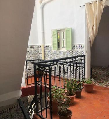 Tlemcen Casa | La maison des oiseaux
