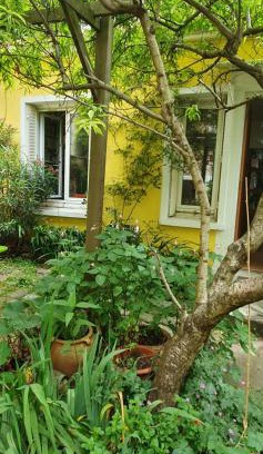 Montreuil Casa | La maison jaune près du métro