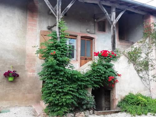 Prety Apartamento | La Maison MOJA