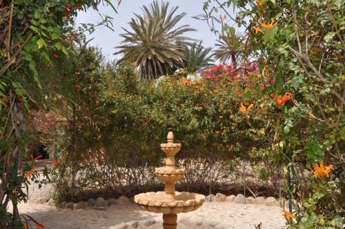 Massa Casa | La Palmeraie De Massa