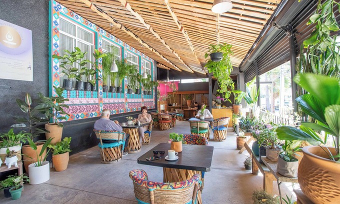 Lafayette Hotel | La Paz & Love Hostel