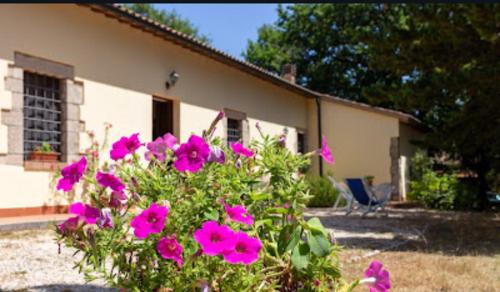 San Macario In Monte Apartamento | La Pecora Verde