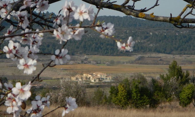Tournissan Cama Y Desayuno | Haven of Peace - Alojamiento y desayuno 1