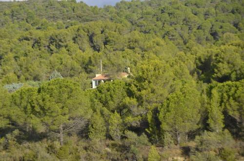 Cesseras Casa | La petite Cigale