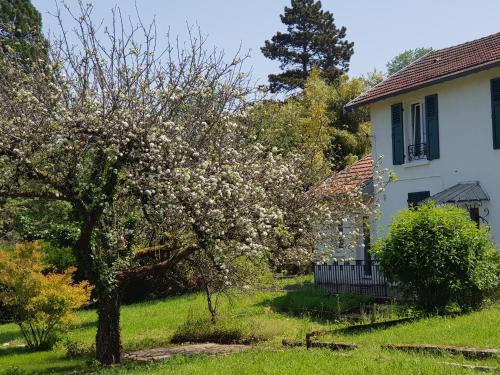 Besancon Apartamento | La Petite Sommière