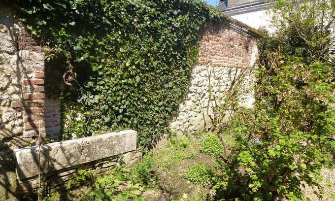 Amboise Casa | La Petite Vigne