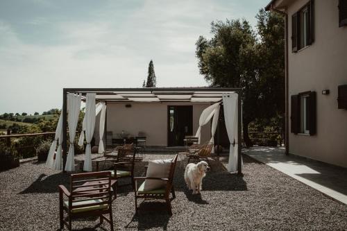 Manciano Casa | La Pianaccia