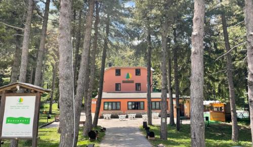 San Massimo Cama Y Desayuno | La Pinetina