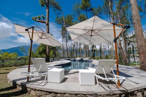 Kintamani Complejo | La Pino Mount Batur and Hot Spring