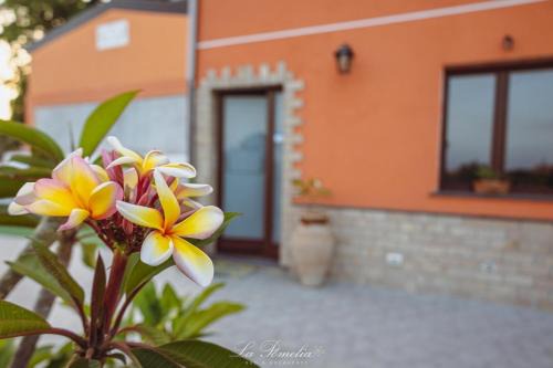 Trappitello Cama Y Desayuno | La Pomelia B&b Sofia