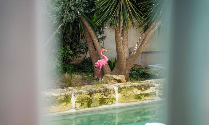 Cadereau Apartamento | La Provence downtown, Swimming pool, Garden, Terrace