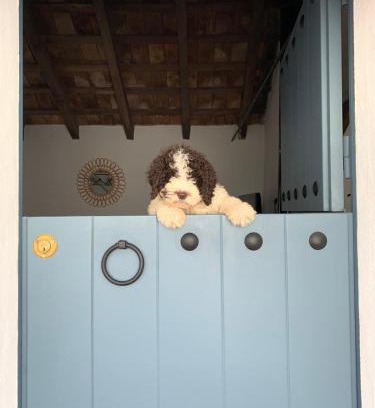 Bornos Casa | La Puerta Azul