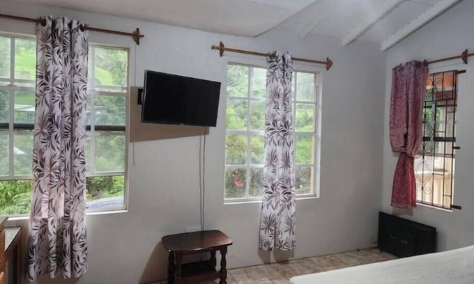 Kingstown Apartamento | La Reve Royale: A Nature Escape