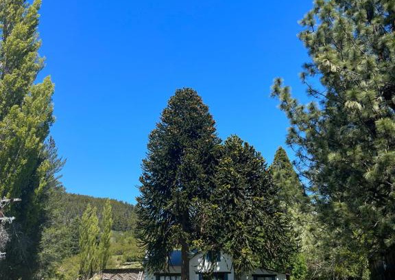 La Bolsa Casa | La Rinconada Ranch