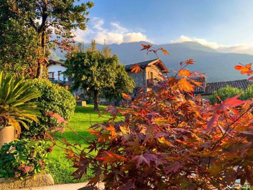 Colico Casa | La Roggia - Historic Molino Maufet Watermill - Lake Como
