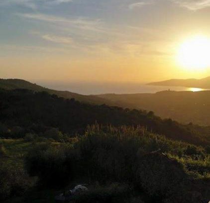 Ascea Apartamento | La rosa del Cilento