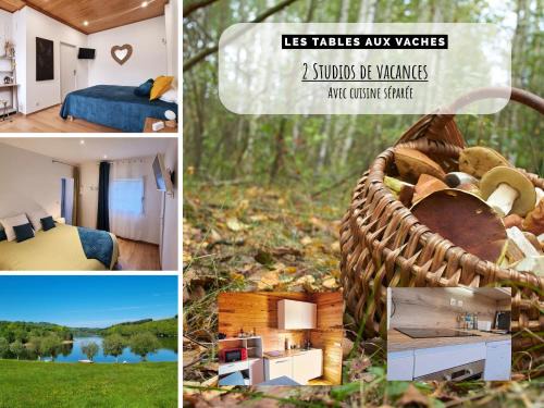 La Salvetat-sur-Agout Casa | La Salvetat - Studios de vacances - Les Tables Aux Vaches