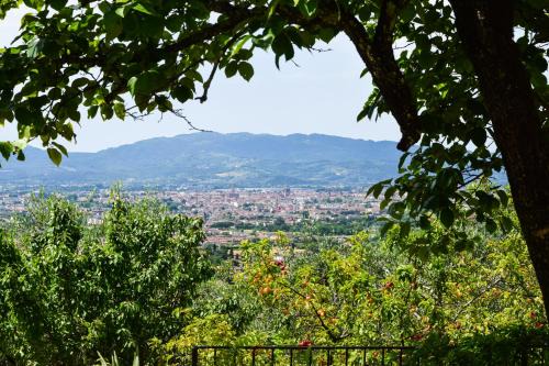 Pistoia Apartamento | "La Salvia" - Villa Pacinotti