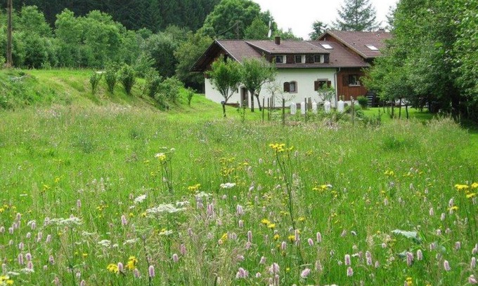 Lubine Casa | La Scierie