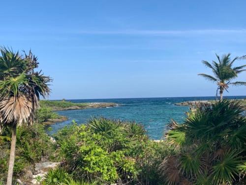 Akumal Apartamento | La Selva Penthouse Gated Community