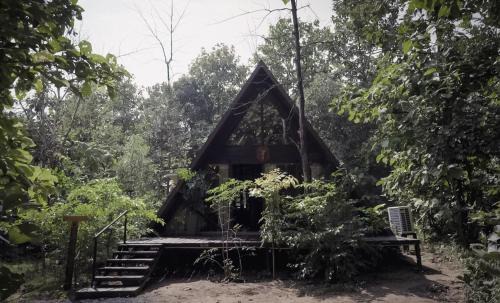 Turiya Complejo | LA SELVA Resort, Pench National Park