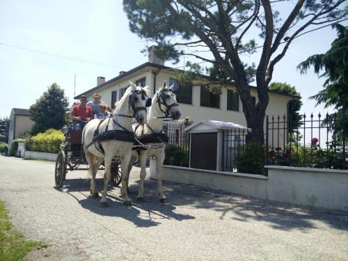 Villafranca di Verona Casa | La Siesta
