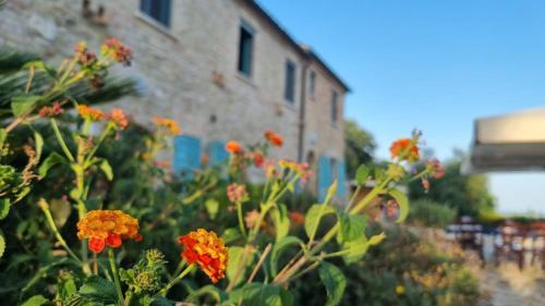 Massignano Cama Y Desayuno | La Sorgente Country House