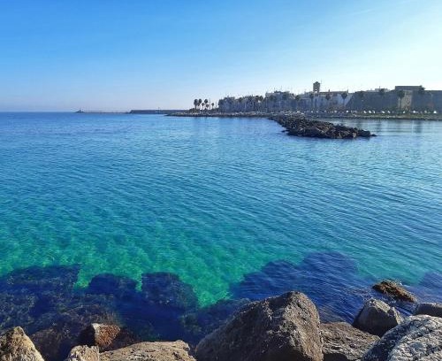 Mola di Bari Apartamento | La stradina