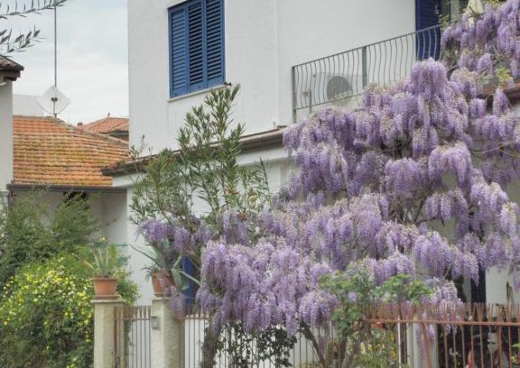 Giulianova Casa | La Suite Di Rita