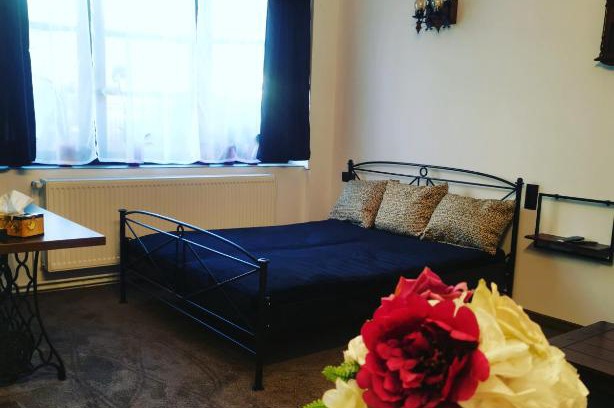Satu Mare Apartamento | La teatroom