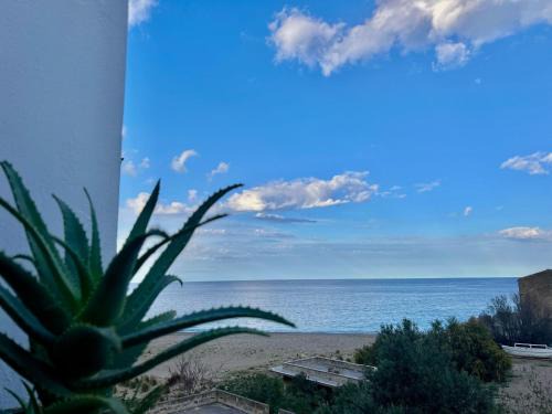 Palermo Apartamento | La Terrazza del Mare