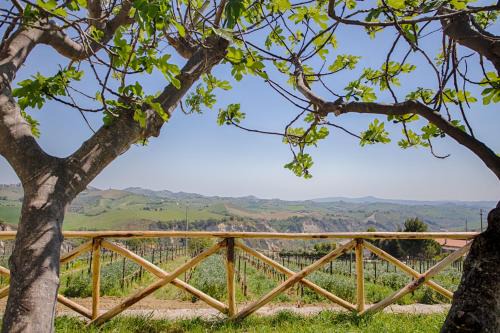 Offida Cama Y Desayuno | La Terrazza sul Vigneto