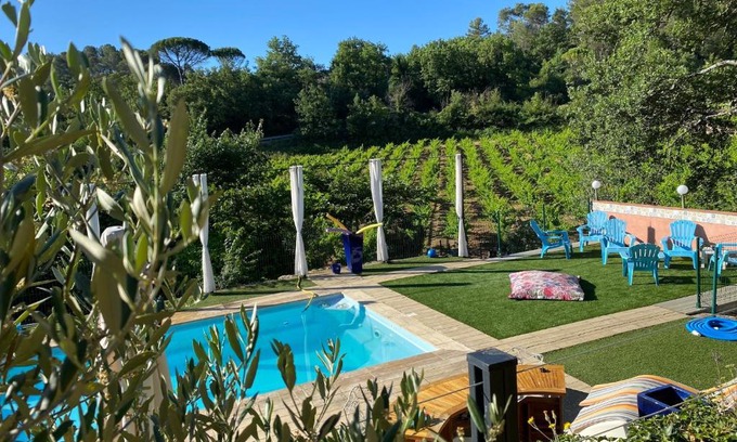 Tourves Cama Y Desayuno | La Vie Est Belle En Provence