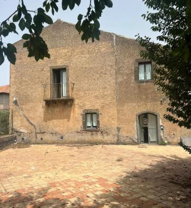 Randazzo Casa | La vigna di Maggi