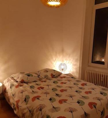 Mont-Dore Apartamento | La Villa des Thermes