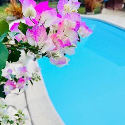 Matoury Casa | La Villa Louisia