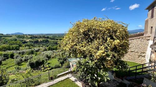 Poggiolo Casa | La Vista