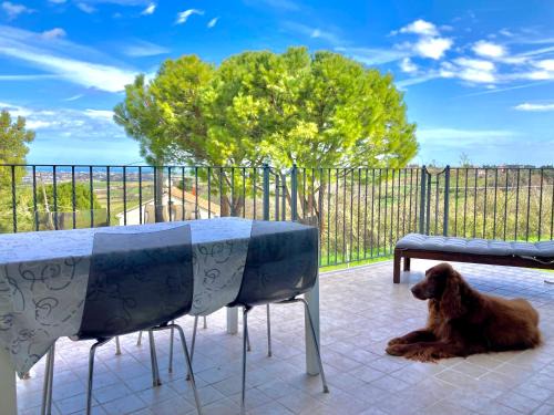Patrignano Apartamento | La vista sul mare