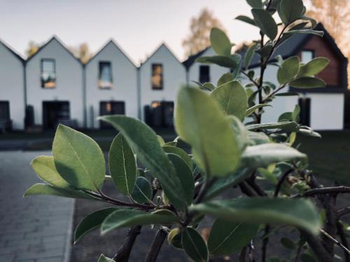 Mrzezyno Apartamento | Laba